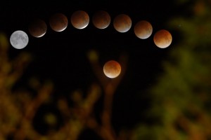 lunar-eclipse-feb-2008